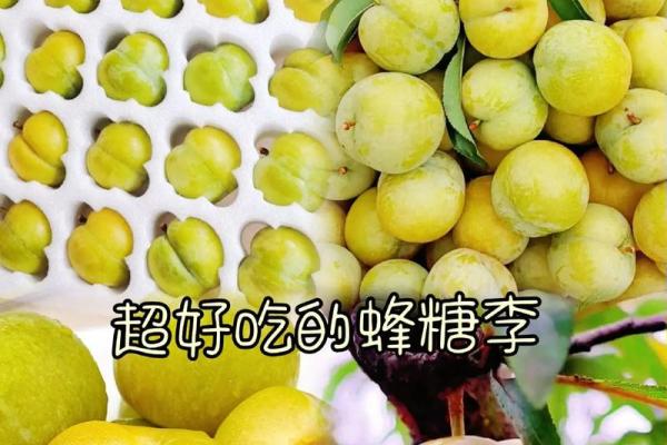 甘甜如蜜，宝宝起名指南
