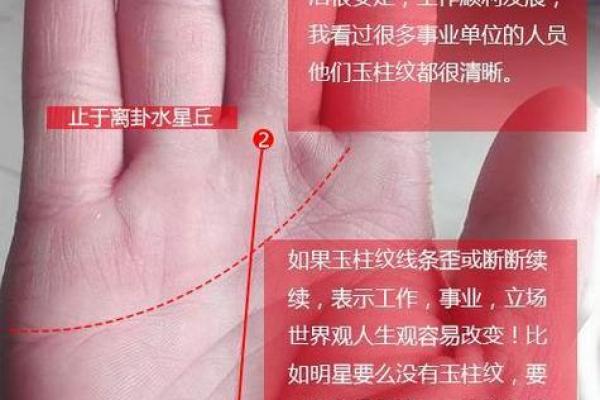 手相大师亲授：解锁你的运势密码，手相好，人生更精彩