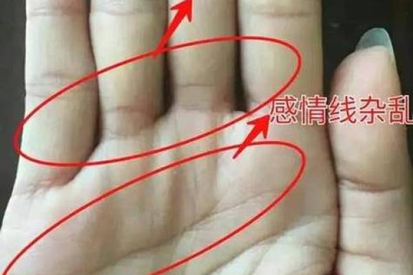 手相大师亲授：解锁你的运势密码，手相好，人生更精彩