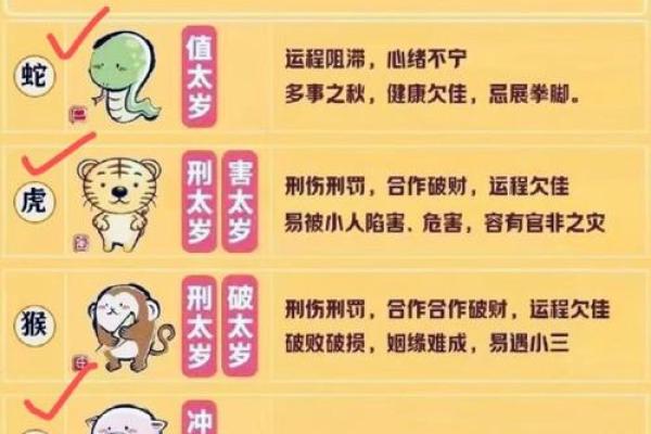 未来已来：新派命理预测，掌握你的运势巅峰