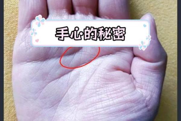 悲悯掌纹，触动心灵