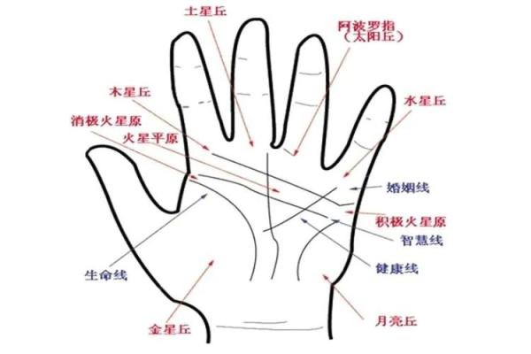 一手相观女儿命：掌握未来运势密码