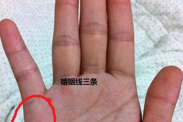 一手相观女儿命：掌握未来运势密码