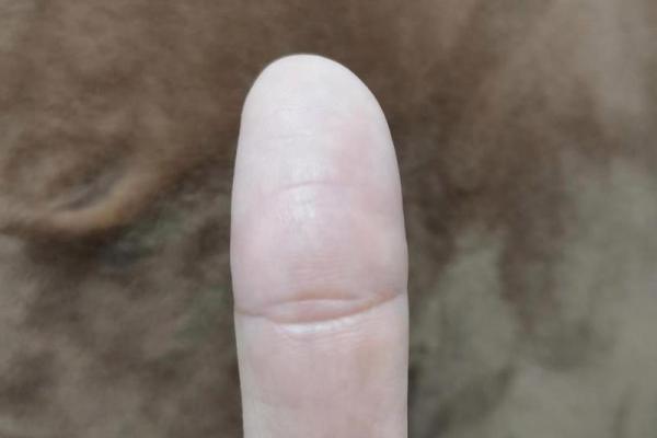 男子手相夫子眼鉴定指南：解码他的神秘魅力