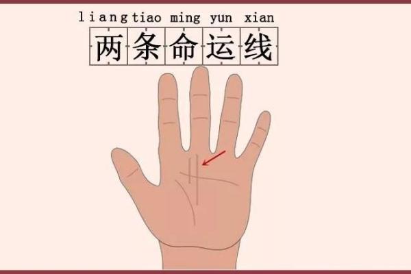 手中藏宝图：周易手相算命，让你一眼看穿命运轨迹！