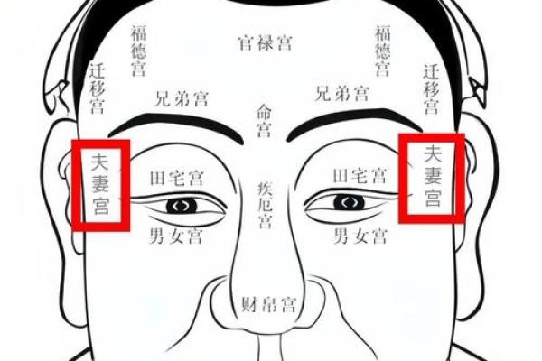 手中藏宝图：周易手相算命，让你一眼看穿命运轨迹！