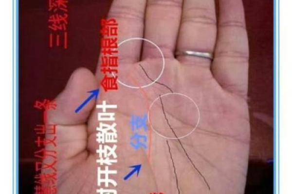 手相揭秘：辅线暗藏人生秘密