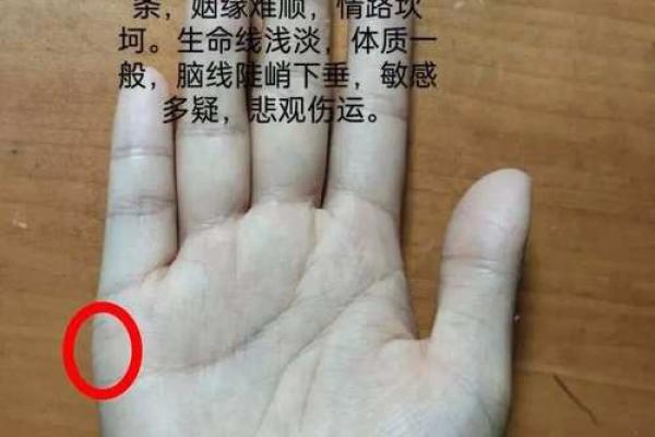 一招看手相，揭秘你的婚姻缘分深浅！