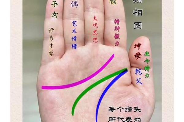 手相揭秘：揭秘无子女线的奥秘与命运轨迹
