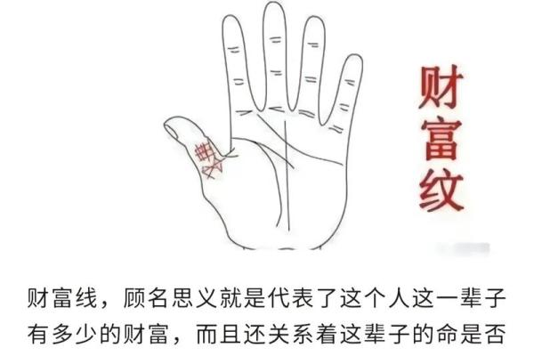 掌心纹路解码，揭秘运势密码