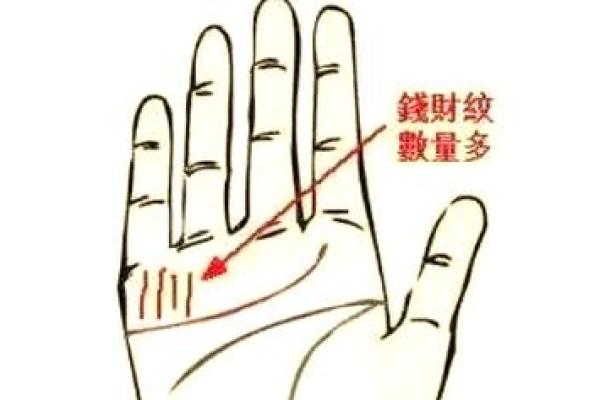 双川手相揭秘：财运亨通的秘密通道