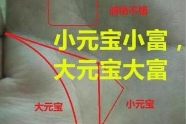 手相月丘纹大揭秘：如何一眼看穿你的财运人生