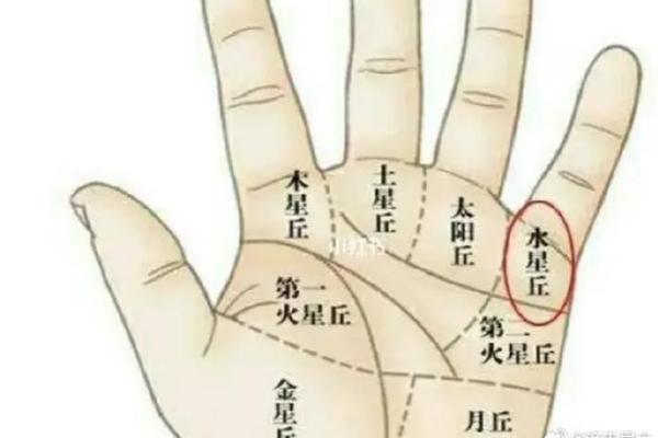 手相月丘纹大揭秘：如何一眼看穿你的财运人生
