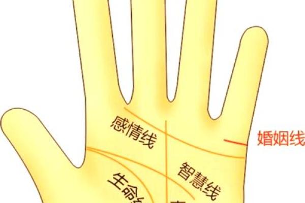 手相奥秘：笔阵纹揭秘财运亨通之道
