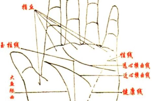 手相奥秘：笔阵纹揭秘财运亨通之道
