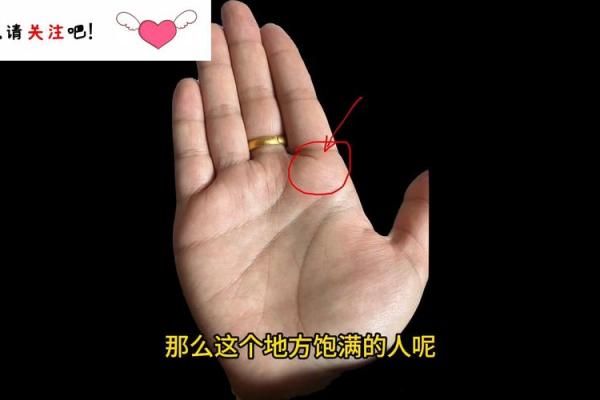 一掌定乾坤：揭秘女性手相看命运的风水秘诀