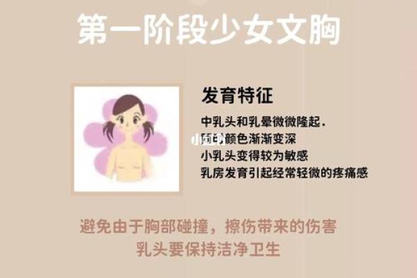 喜迎猪年：为女儿挑选独特好听的乳名