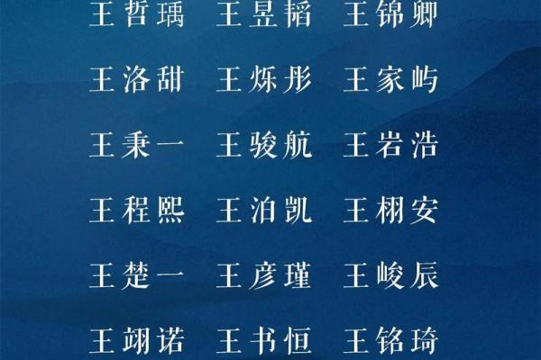 王姓马年男宝宝名字精选