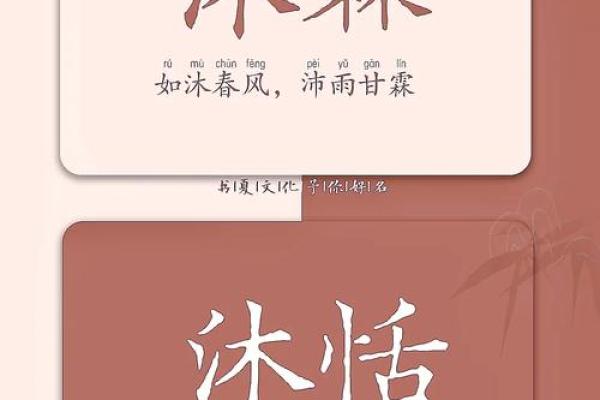 冼宝宝名字创意集