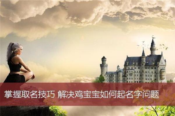 搞笑可爱的鸡宝宝取名建议