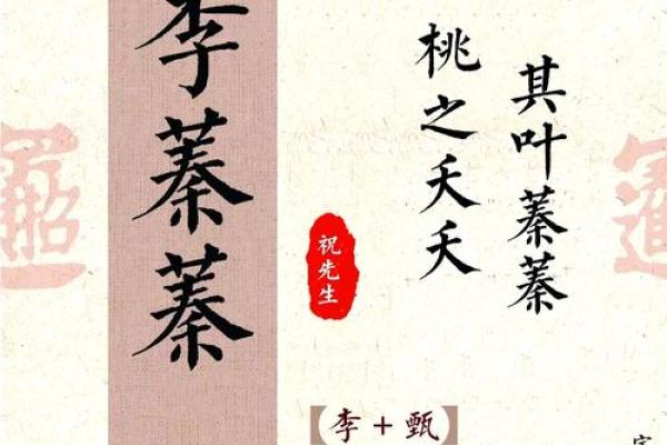 宝宝命名艺术，创意无限