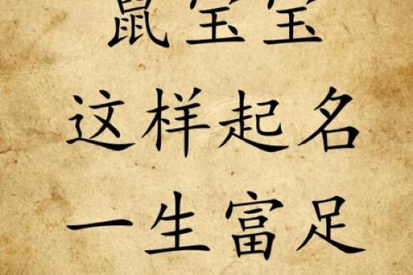 翊字鼠宝宝名字：寓意美好，韵味十足