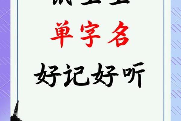 翊字鼠宝宝名字：寓意美好，韵味十足