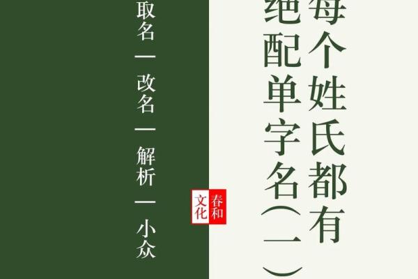 鸡宝宝胡张取名巧思集
