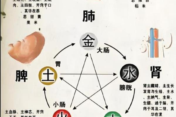 三字命名与五行的深度联系