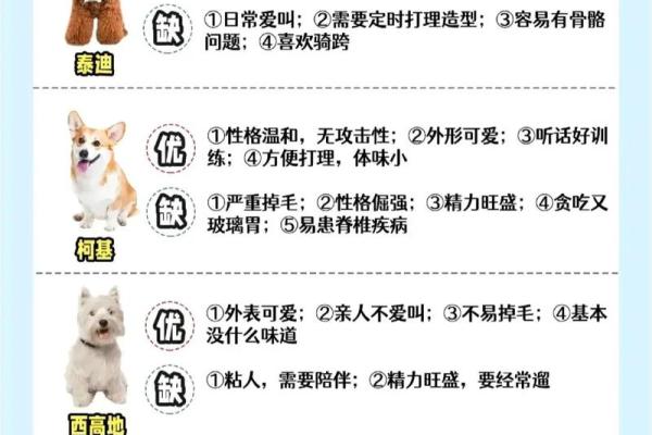 狗的五行属性解析