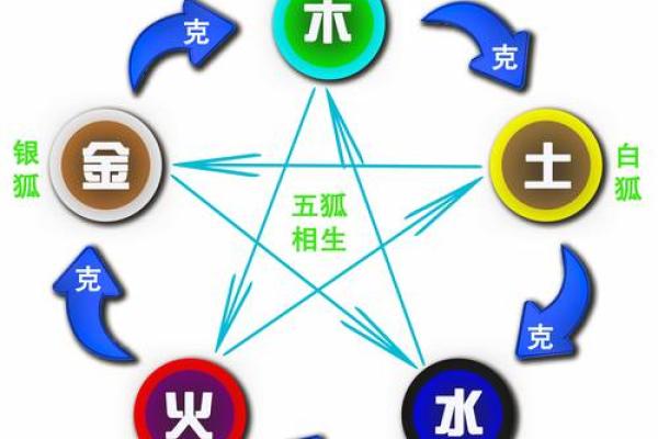 睿五行属性解析