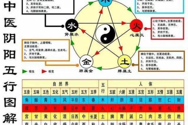 如何理解连五行的分类