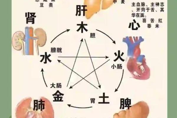 五行顺序如何影响我们的性格与命运