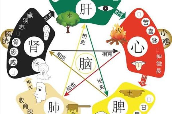 如何理解亦五行属性的理论与实践