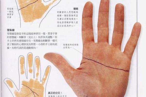 一掌在手，运势全有：手相学必备指南