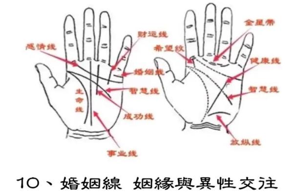 一掌在手，未来可知：女性左手手相揭秘！