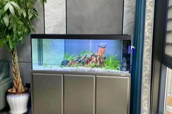 精美大理家居风水鱼缸，品质生活新选择