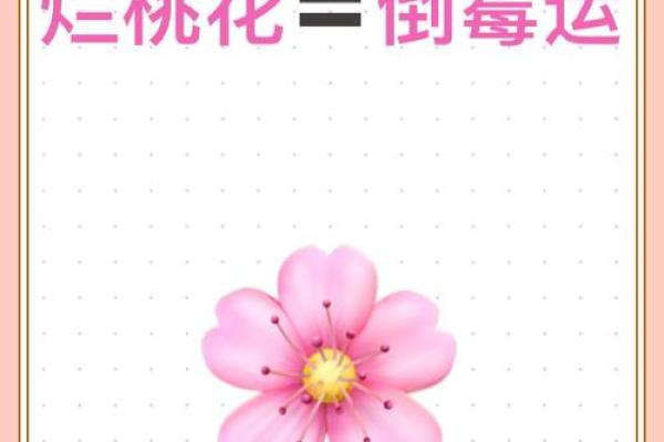 破解家居桃花霉运，招来红运连连秘籍大公开！