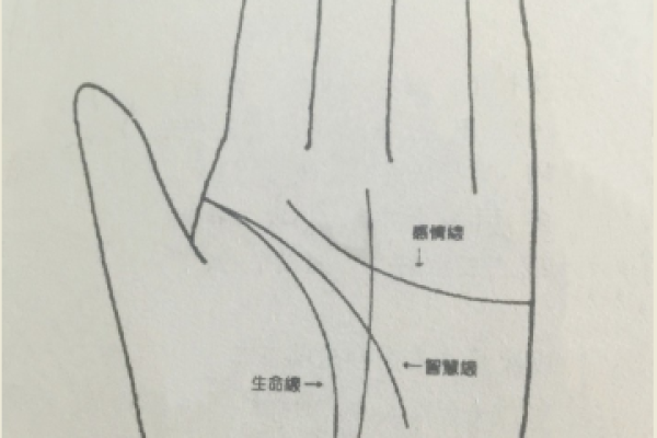 手相中的生育秘密：一招看透不孕不育之谜！