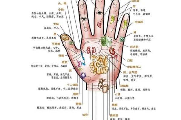一掌在手，运势全知：手相解析大全宝典