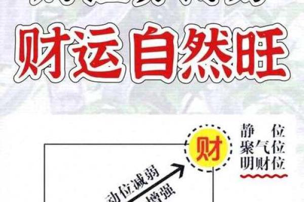 旺丁家居风水秘籍，助你家庭美满幸福
