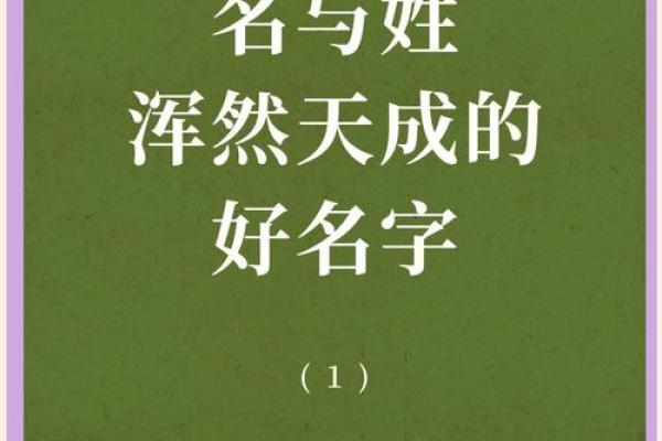 猪年宝宝名字：传承美好，寓意丰富