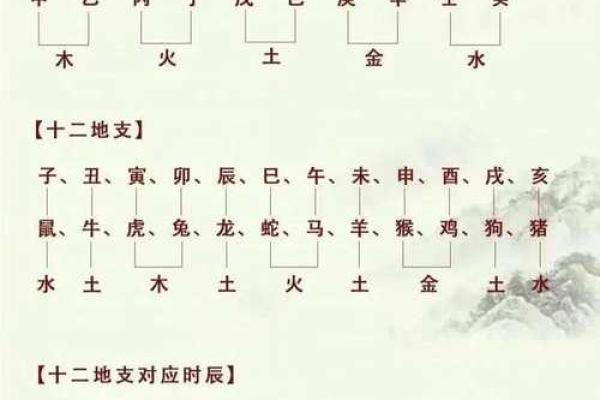 薇字五行归属及其对命运的影响
