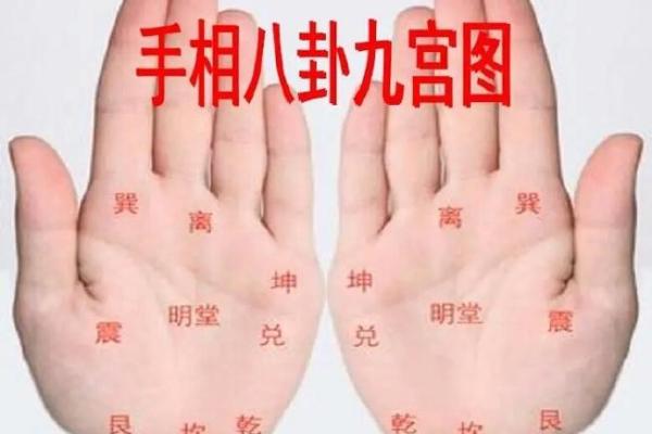 知命改命：手相命理揭秘，你的运势从此不同！