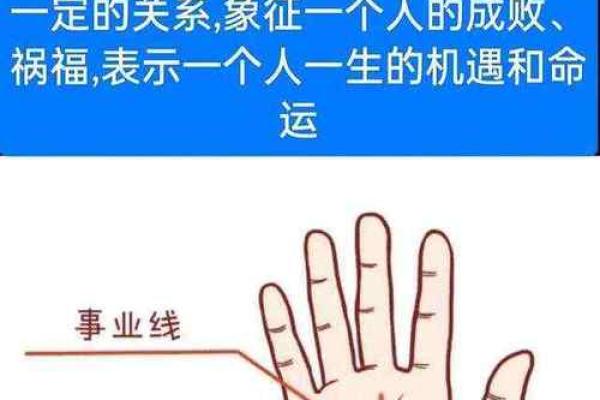 张馨予手相揭秘：命运线与爱情线的秘密