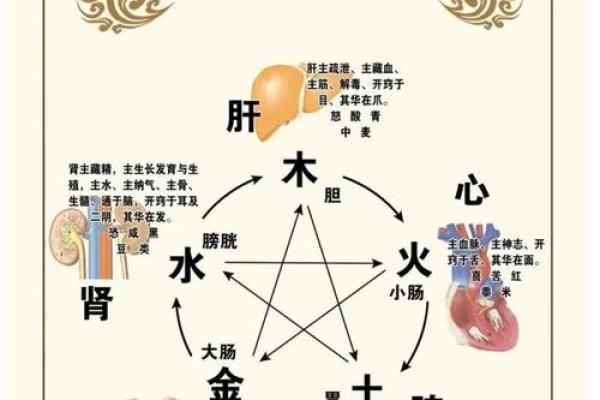 五行对照表详解：理解木火土金水的互动与平衡