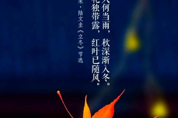 秋收冬藏，寒衣节暖人心