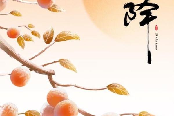 秋收冬藏，寒衣节暖人心