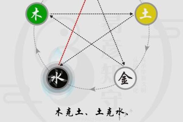 探索彦五行的内在联系