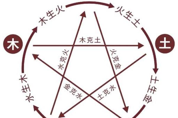 雅五行：探索五行与生活的深刻联系